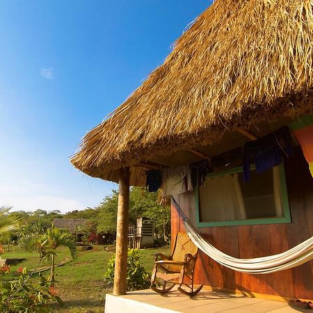 Coco Loco Eco-Resort Gemastepe Exterior photo